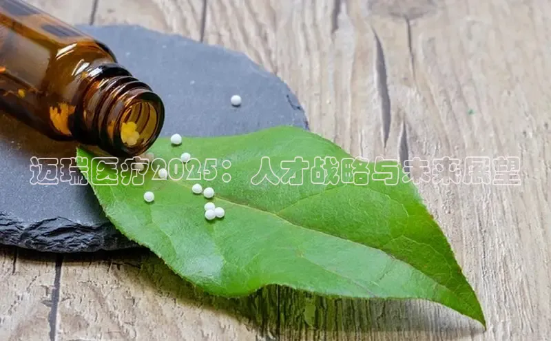 杏宇平台登录入口注册账号